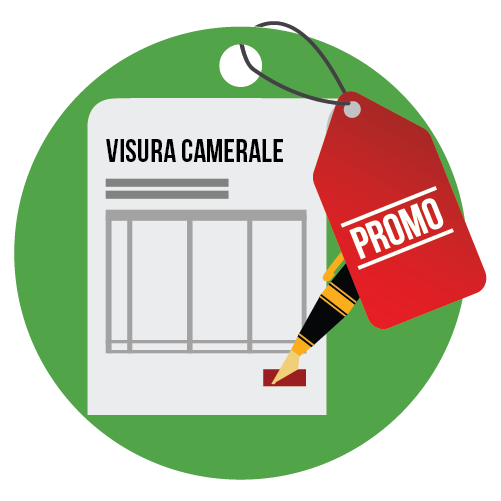 Visura camerale e partecipazioni in società