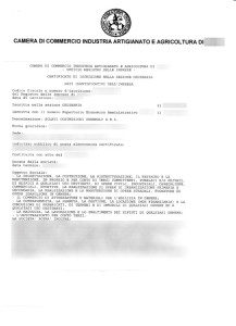 Verificare l'iscrizione in Camera di Commercio di una societa