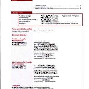 Visura amministratori online