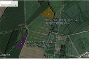 Calcolare area e perimetro da Google Maps