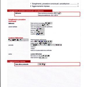 Sapere se una società ha un fallimento o altre procedure in corso